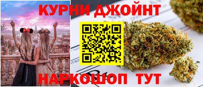 индика Кандалакша