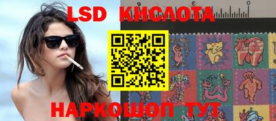 индика Кандалакша