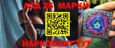 индика Кандалакша