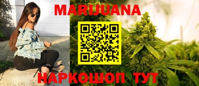 индика Кандалакша