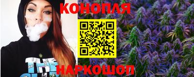 индика Кандалакша