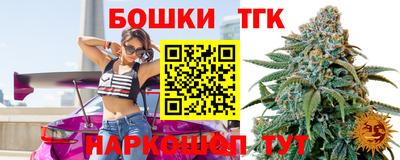 индика Кандалакша