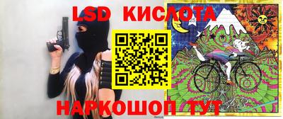 молекула духа Камышлов