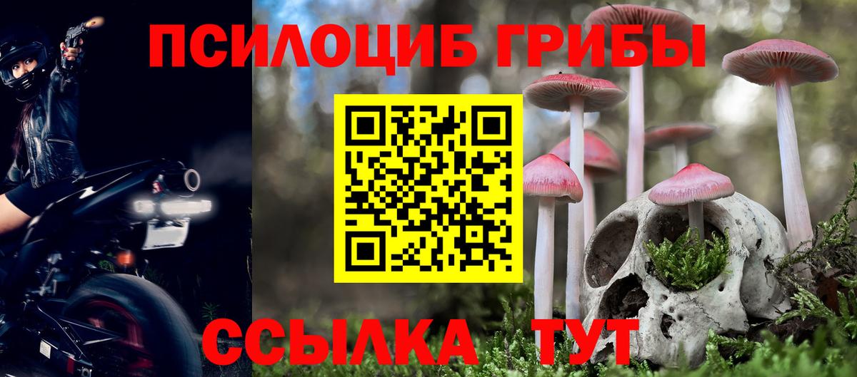 Красноярск  Галлюциногенные грибы мухоморы  Вход с VPN  Галлюциногенные грибы мицелий 
