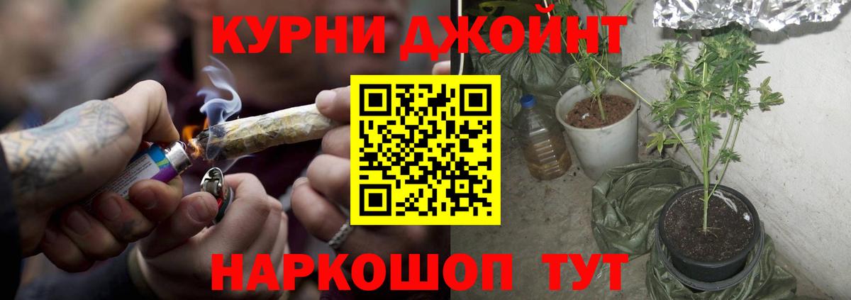 Шишки марихуана тримм  Вход с VPN  Шишки марихуана план  Красноярск  Конопля Bruce Banner  МАРИХУАНА гибрид 